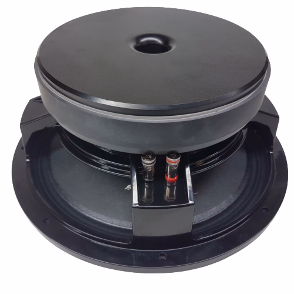 Gs Audio woofer/midrange 300mm/12" coil 100mm - 4/8ohm 800Wrms - 220mm magnet - Image 4